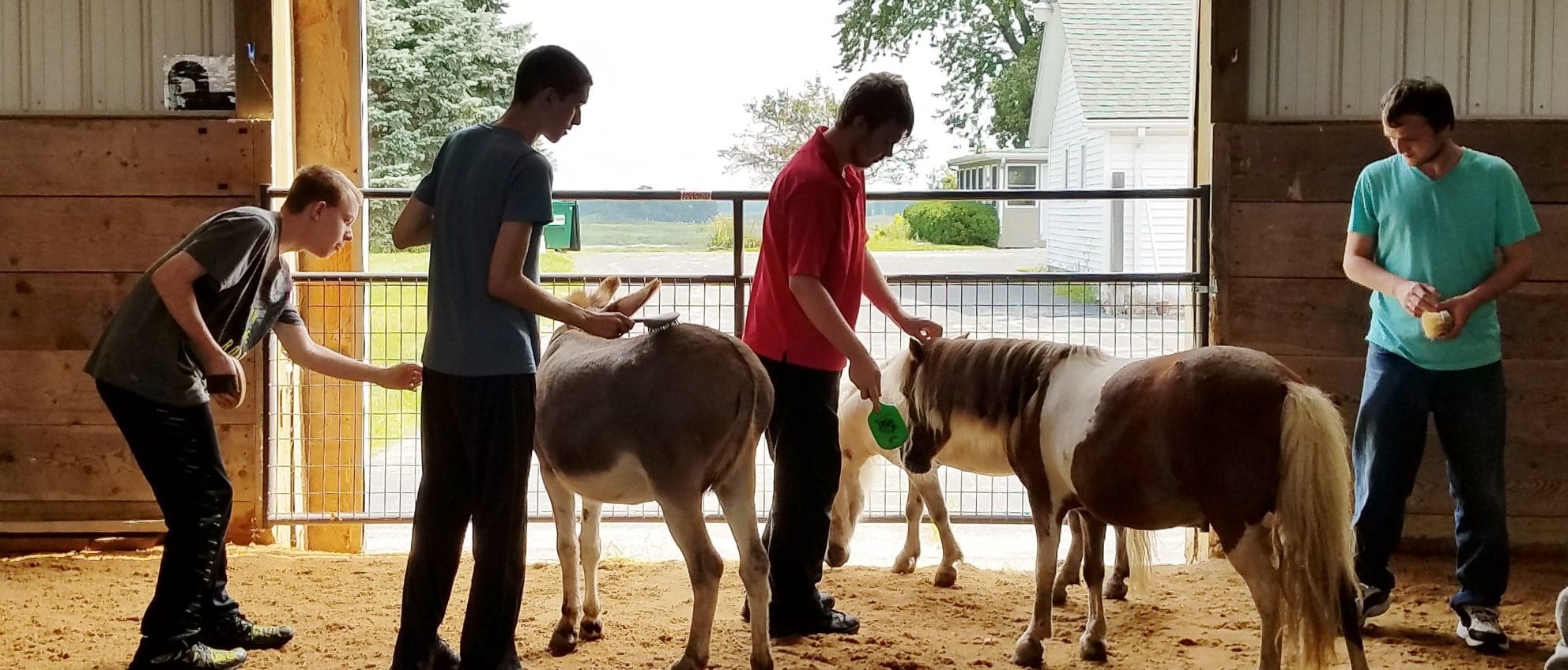 Clients interact with animals in animal assisted learning