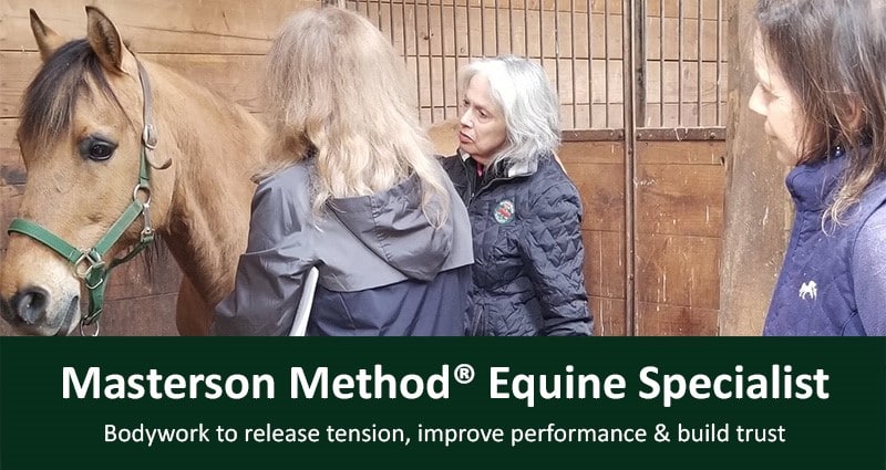 Masterson Method Equine Specialist. Bodywork to release tension, improve performance & build trust.