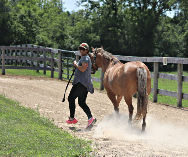 An educator enjoys a trot with an adaptive riding horse in the outside sensory arena at Main Stay Therapeutic Farm