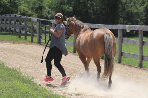An educator enjoys a trot with an adaptive riding horse in the outside sensory arena at Main Stay Therapeutic Farm