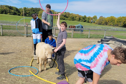 Students participating in an Animal Assisted Learning lesson