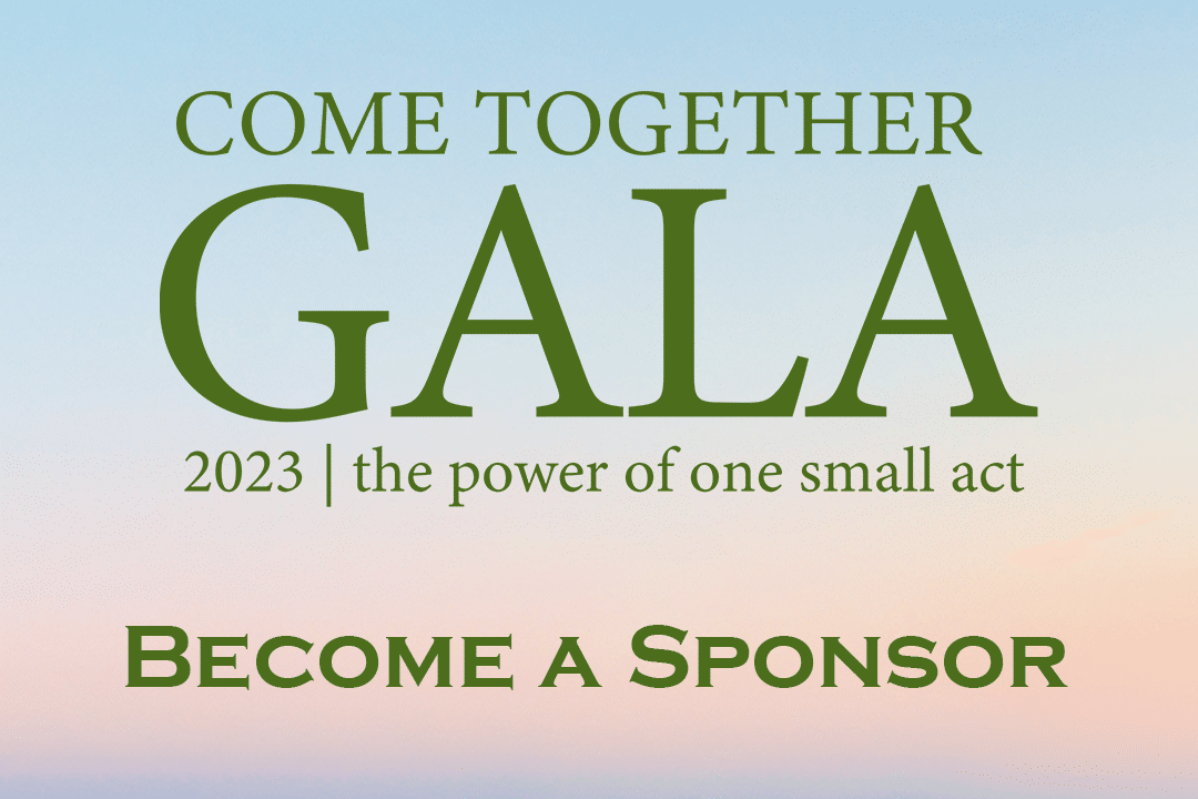 Become a Gala sponsor