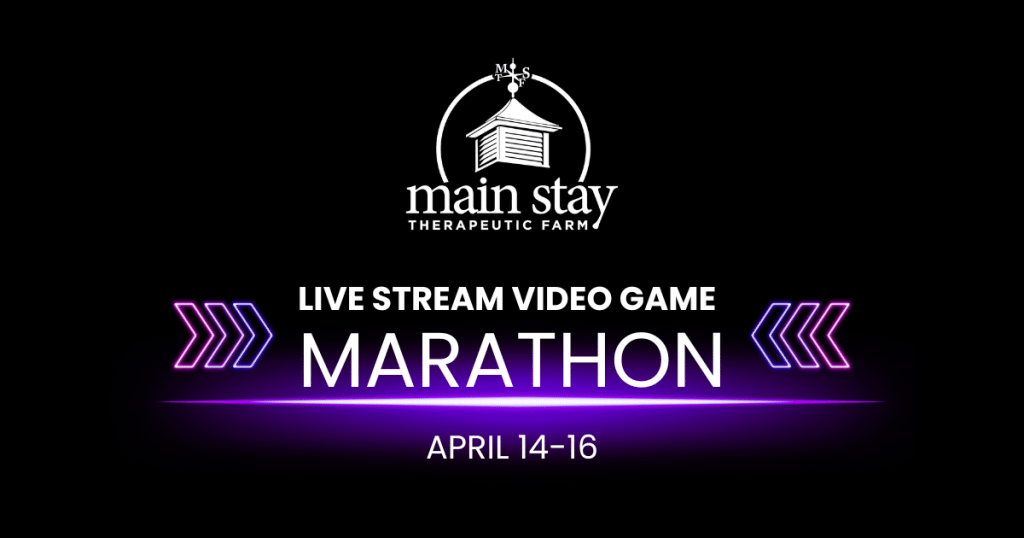 Live Stream Video Game Marathon