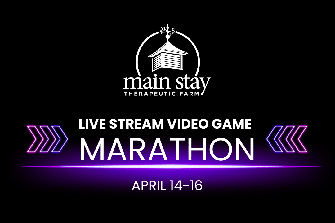 Live stream video game marathon