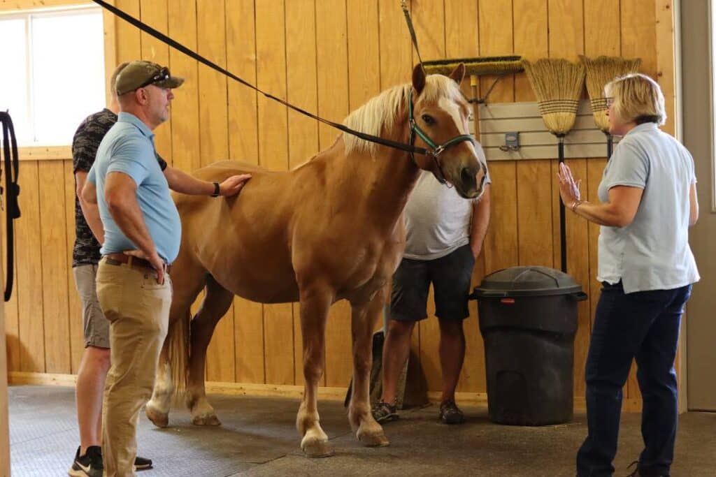 A group of workshop participants stand on either sides of adaptive riding horse Howie as a Main Stay staff member speaks to the group.