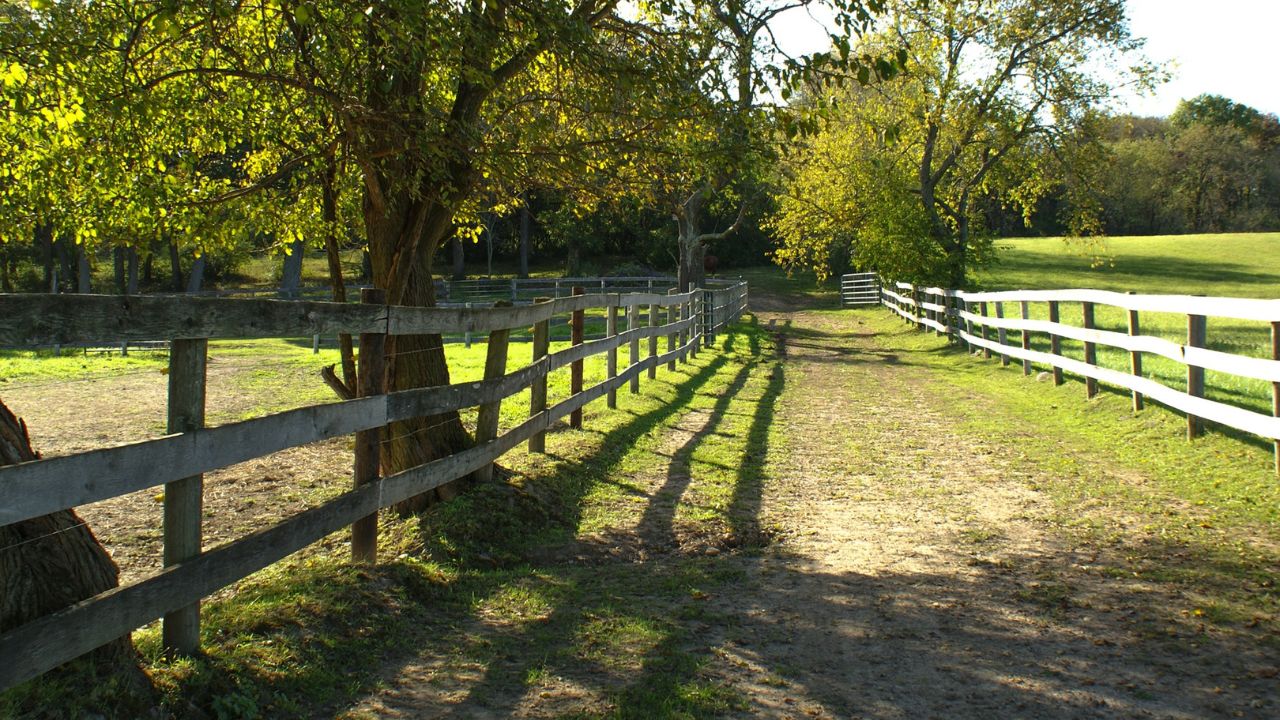 A fenced lane in the middle of a field.