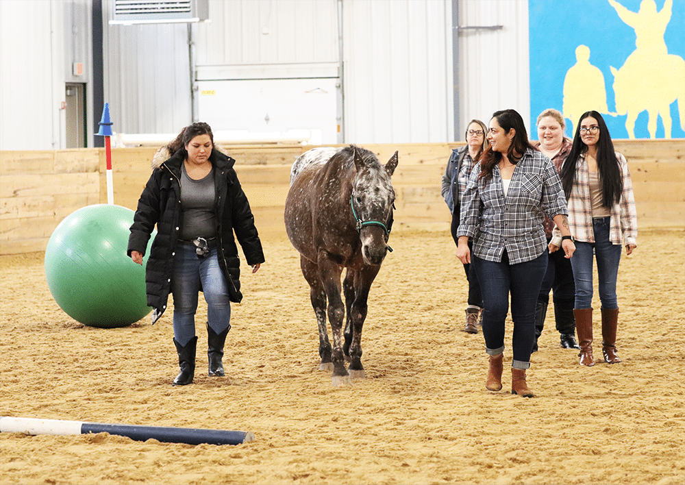 Participants walk along side an adaptive riding horse in Main Stay's indoor arena 