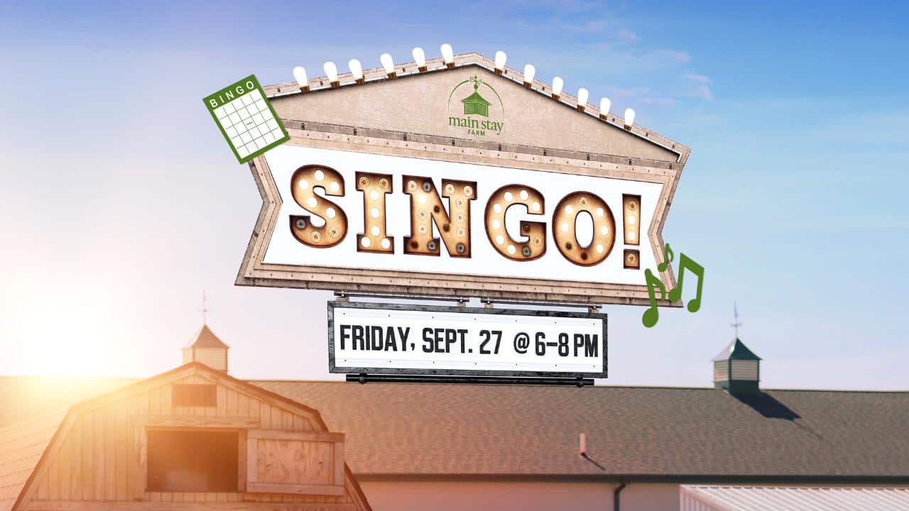 SINGO! Friday, September, 27 at 6-8pm