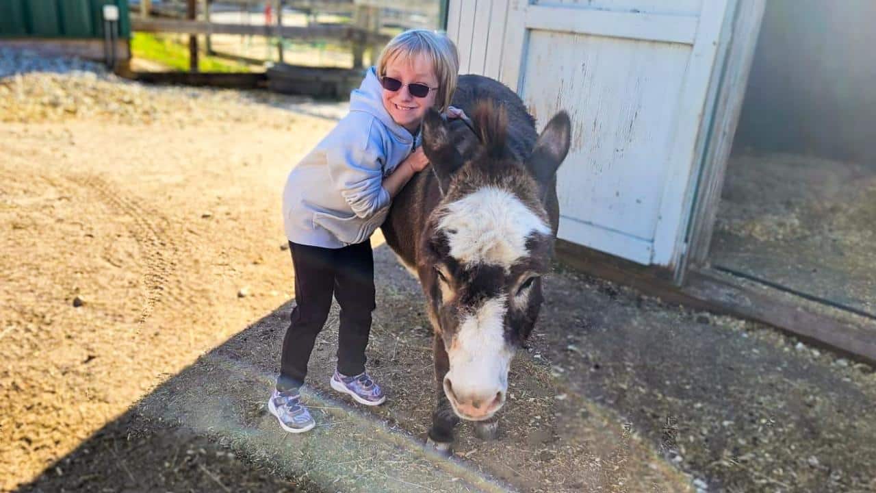 Patty, an EAAL client at Main Stay, hugs Pickles the Donkey