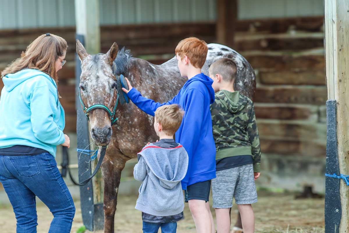 3 children learn how to brush Main Stay's adaptive riding horse, Chip during horsemanship lessons