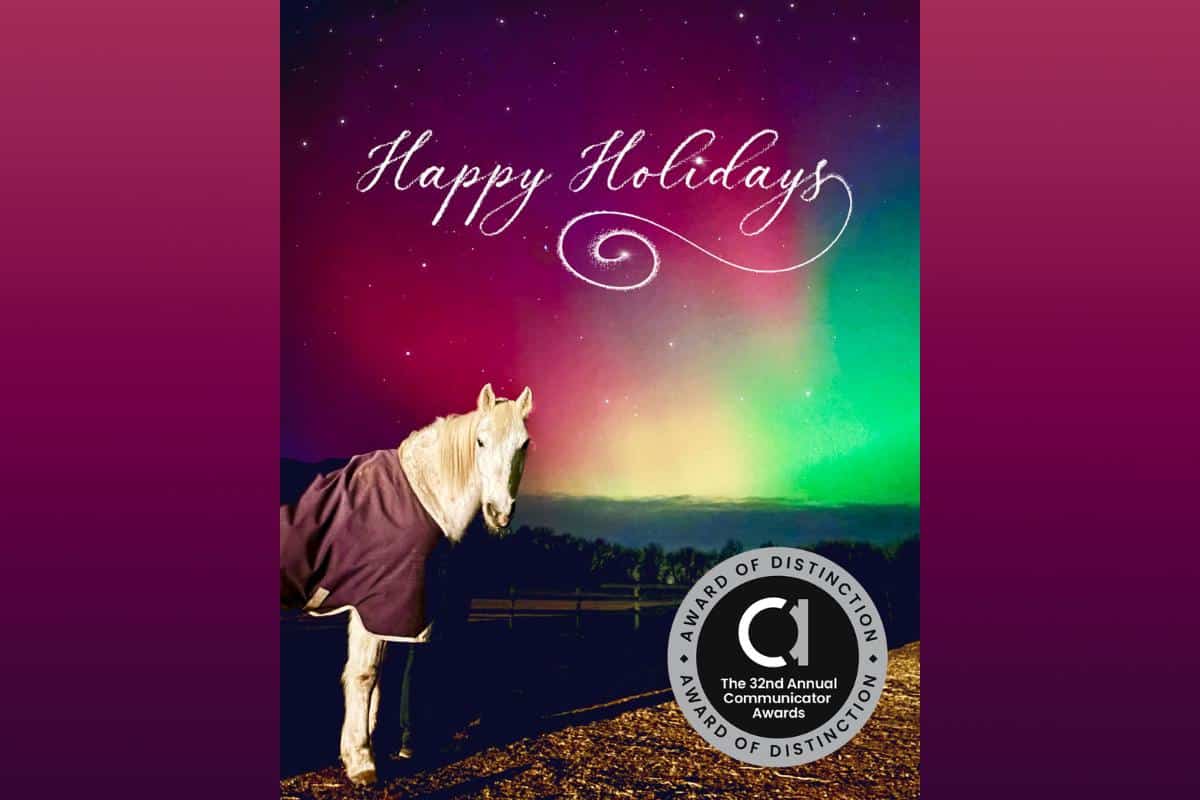 Main Stay’s Northern Lights Holiday Card featuring the words “Happy Holidays,” horse Zeke standing beneath the Northern Lights, and a 32nd Annual Communicator Awards Award of Distinction seal.