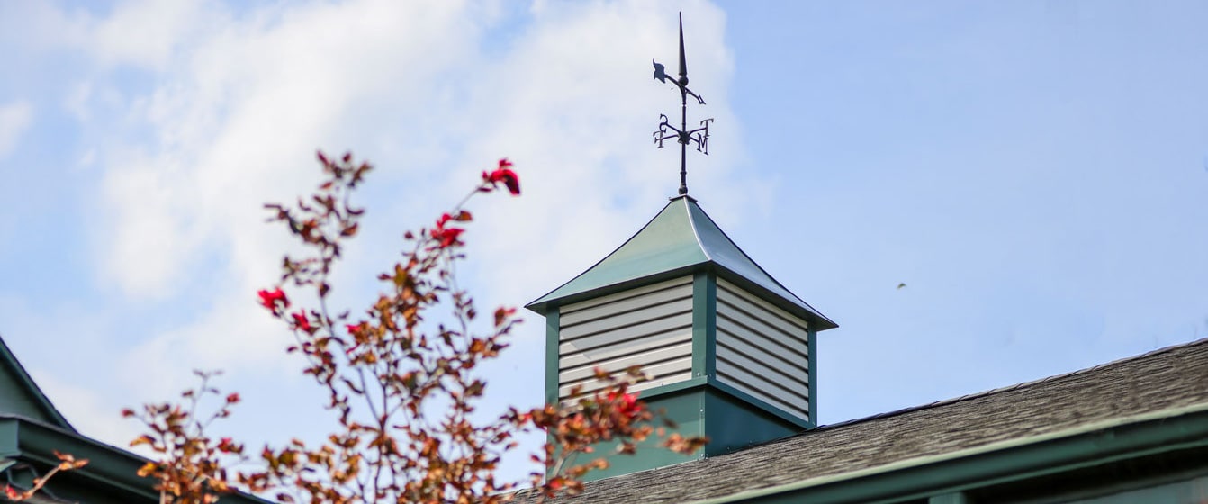 Cupola and weathervane on a green roof against a blue sky.